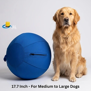 Best Toys for Large Breed Dogs: Size, Strength, and Safety Tips