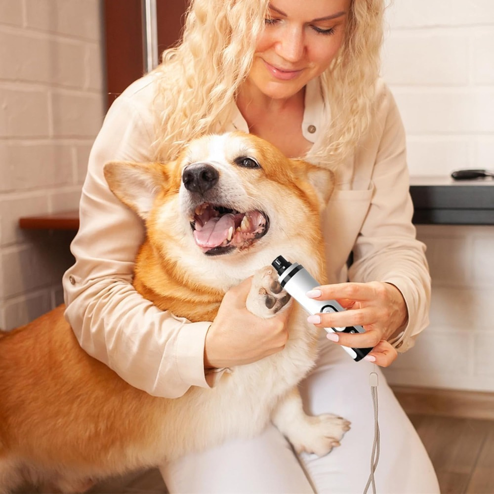 Fleas and Ticks by Region: When and Where They Strike in the USA