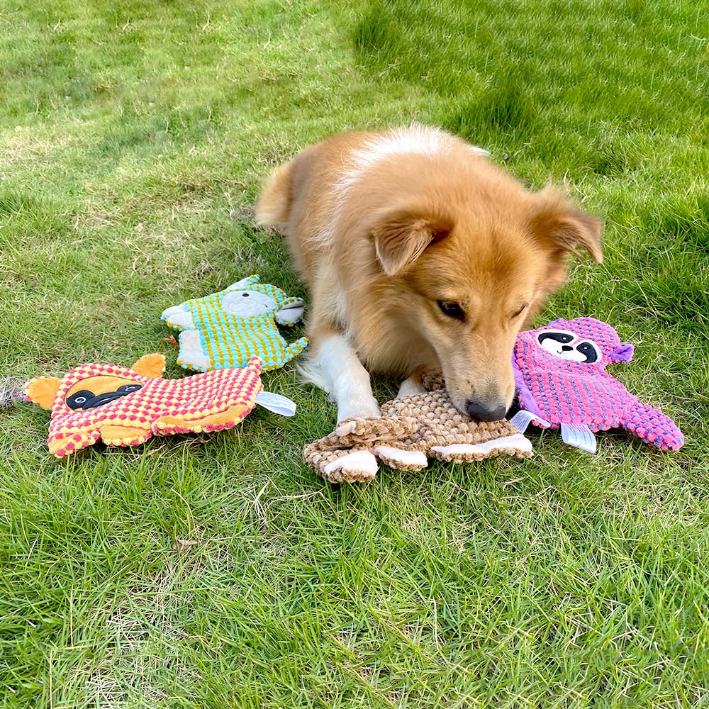 No Stuffing Squeaker Dog Toy