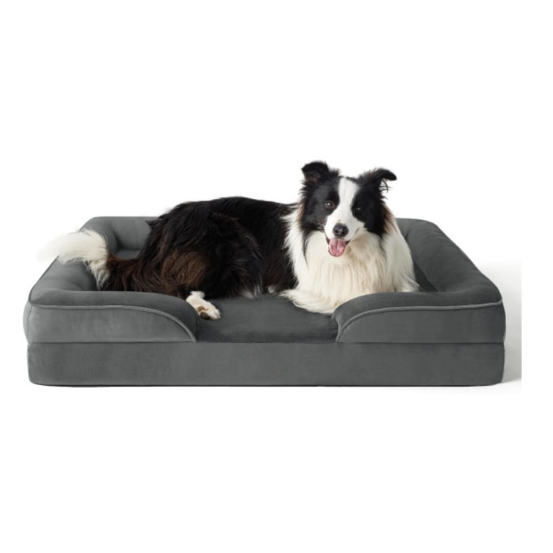 Renting With Pets in the US: Pet Policies, Deposits, and How to Find a Pet-Friendly Home