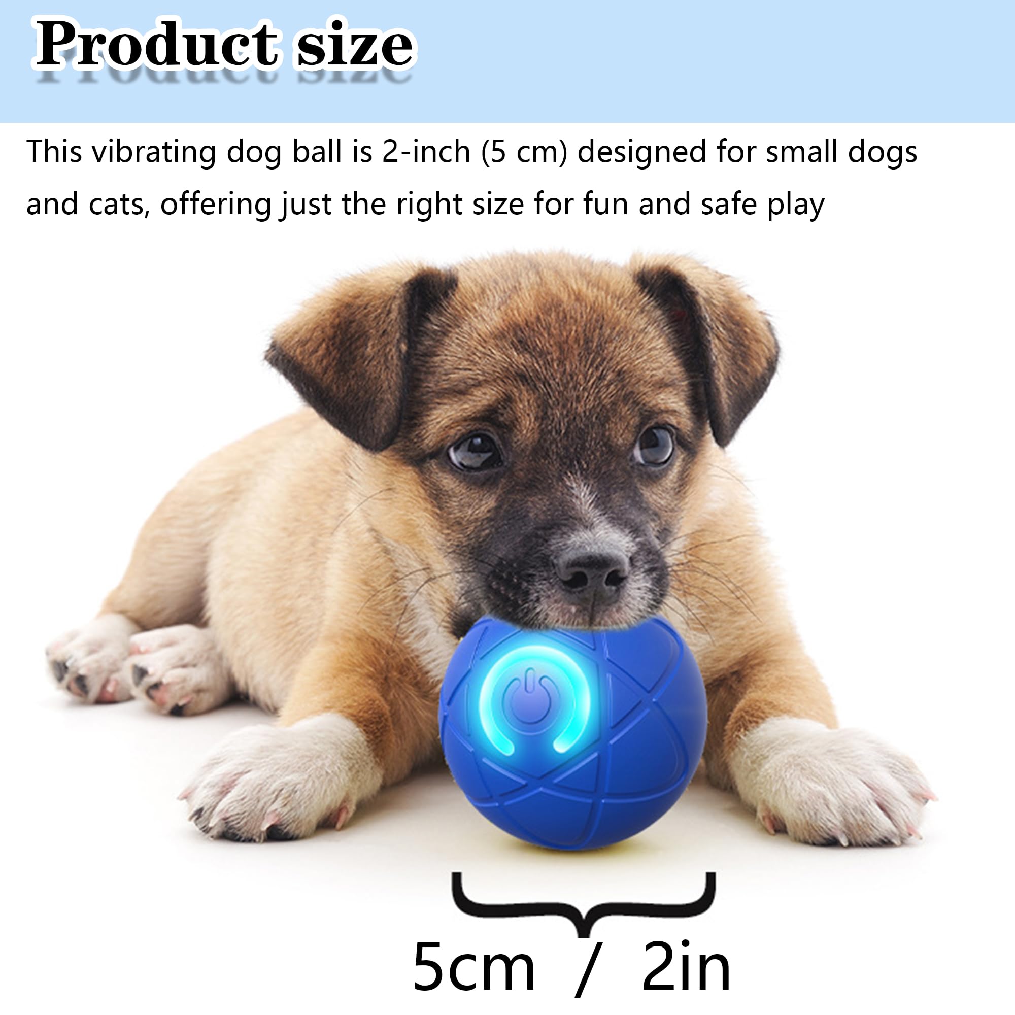 Rolling Balls and Solo Play: Toys for Dogs Home Alone