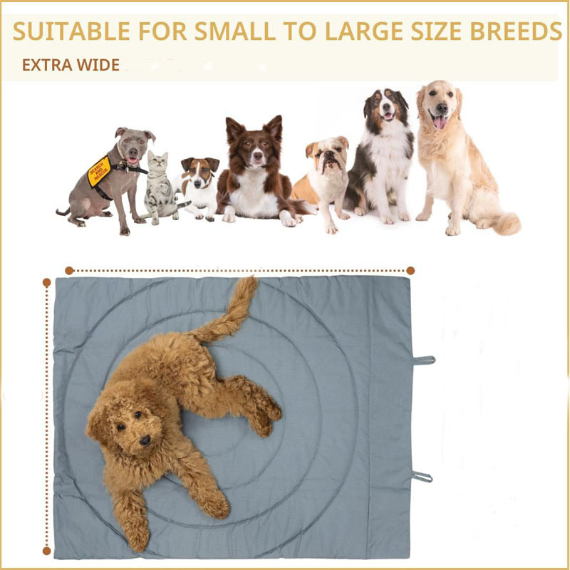 Four-Season Pet Mats: Choosing the Right Mat for Every Climate