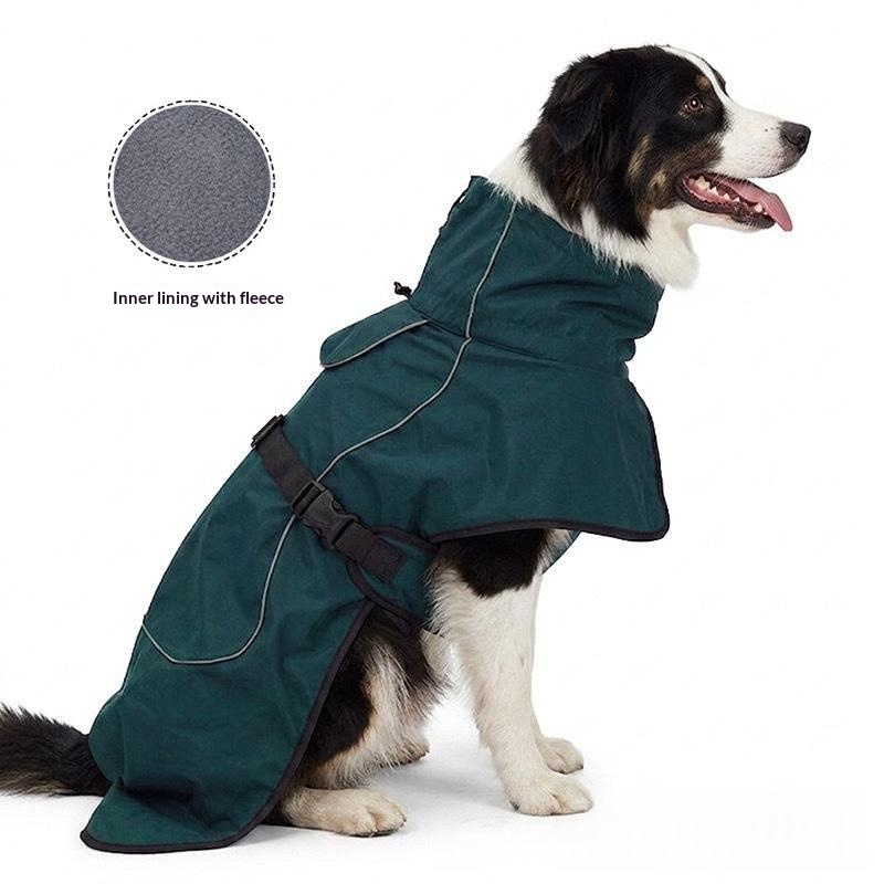 How to Dress Your Dog for Winter: Coats, Sweaters, and Fit Tips