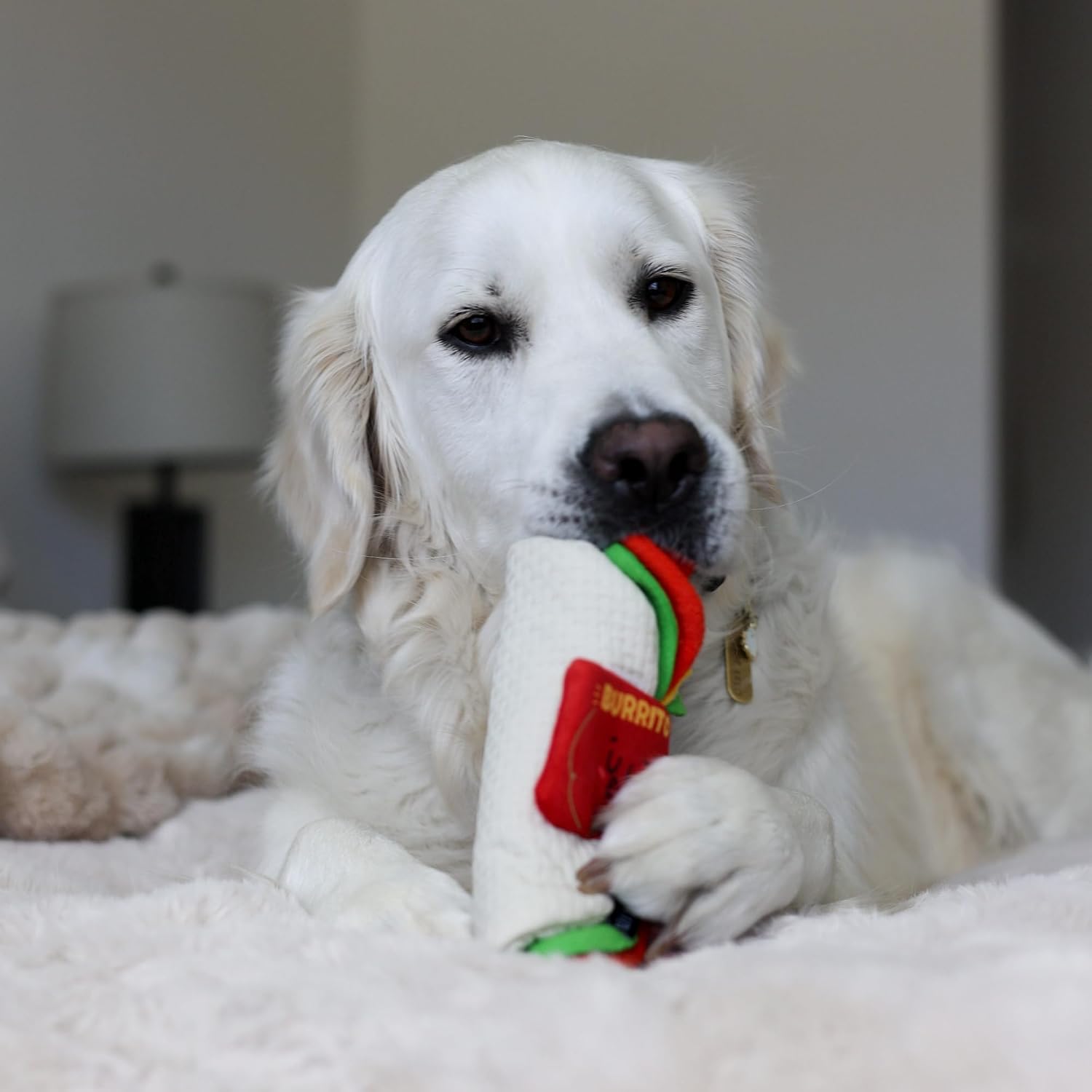 Interactive Dog Snuffle Puzzle Toy image 4