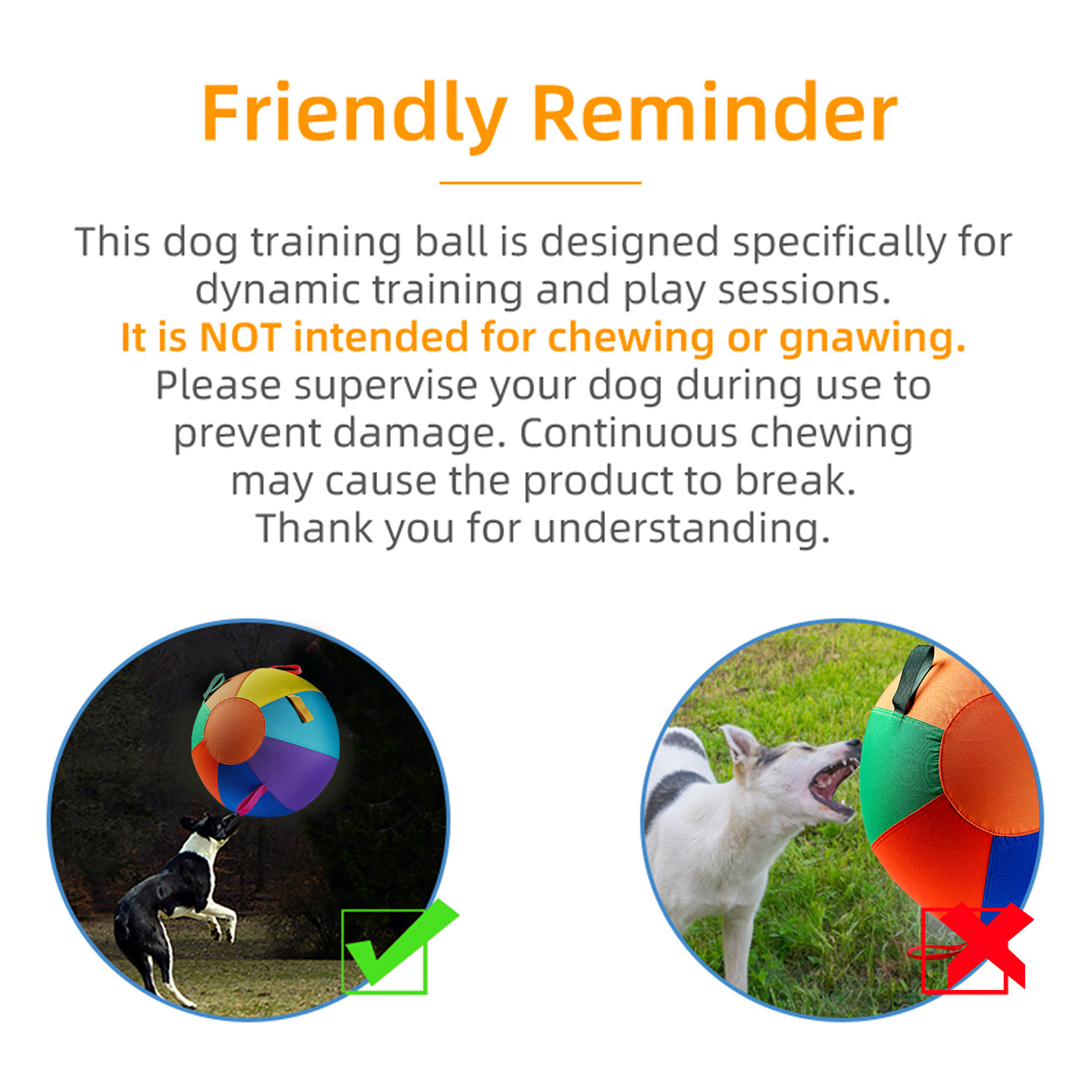Colorful Inflatable Dog Training Toy image 6