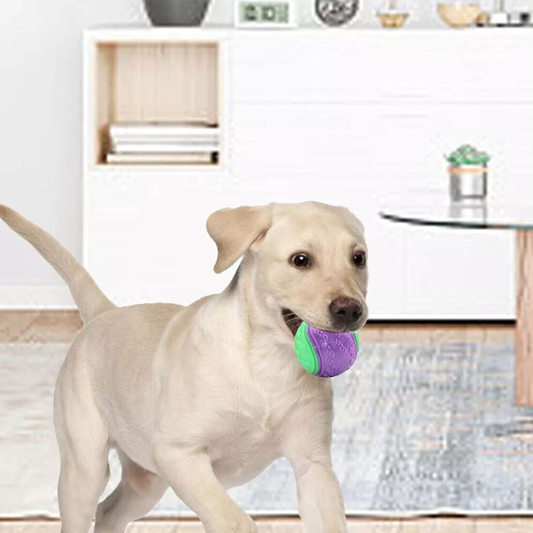 Scooby-Doo Squeaky Dog Ball Set