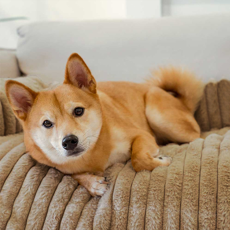 Pet Sofa Cushion Large Dog Bed Blanket image 5