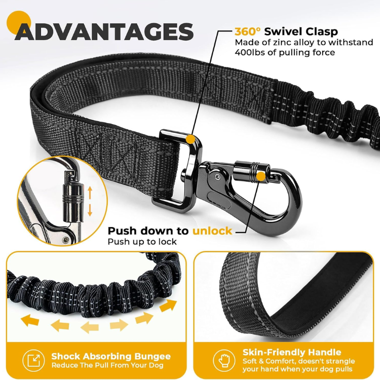 Hands-Free Bungee Dog Leash image 4