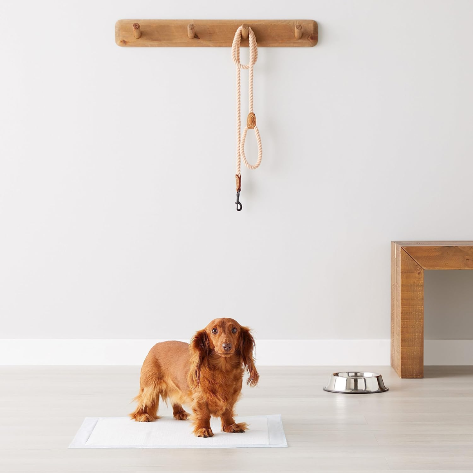 PlusPet 5-Layer Puppy Training Pee Pads