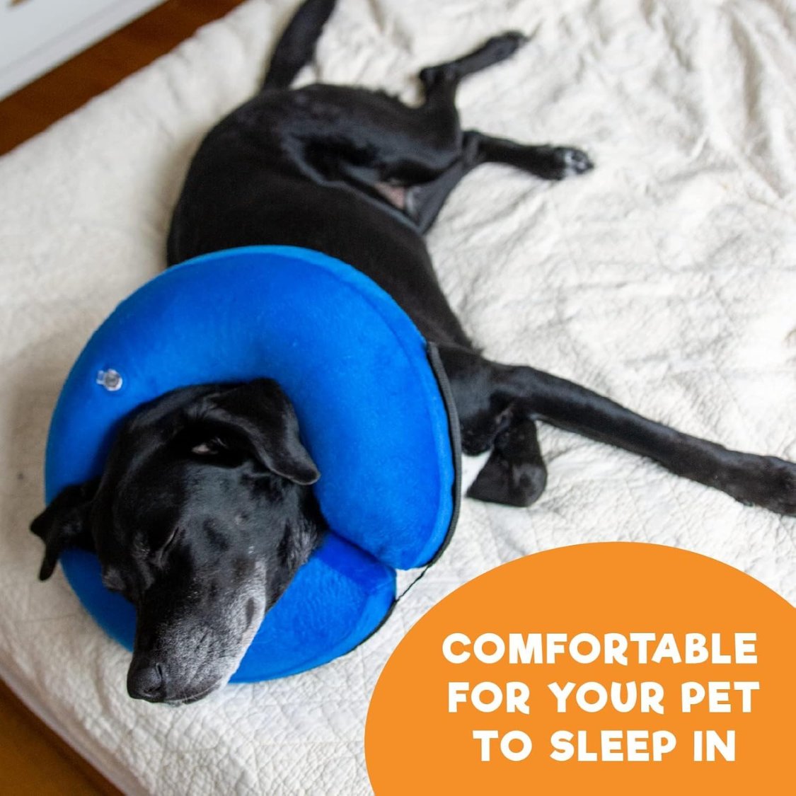 Dog Cone Collar After Surgery Large, Blue image 4