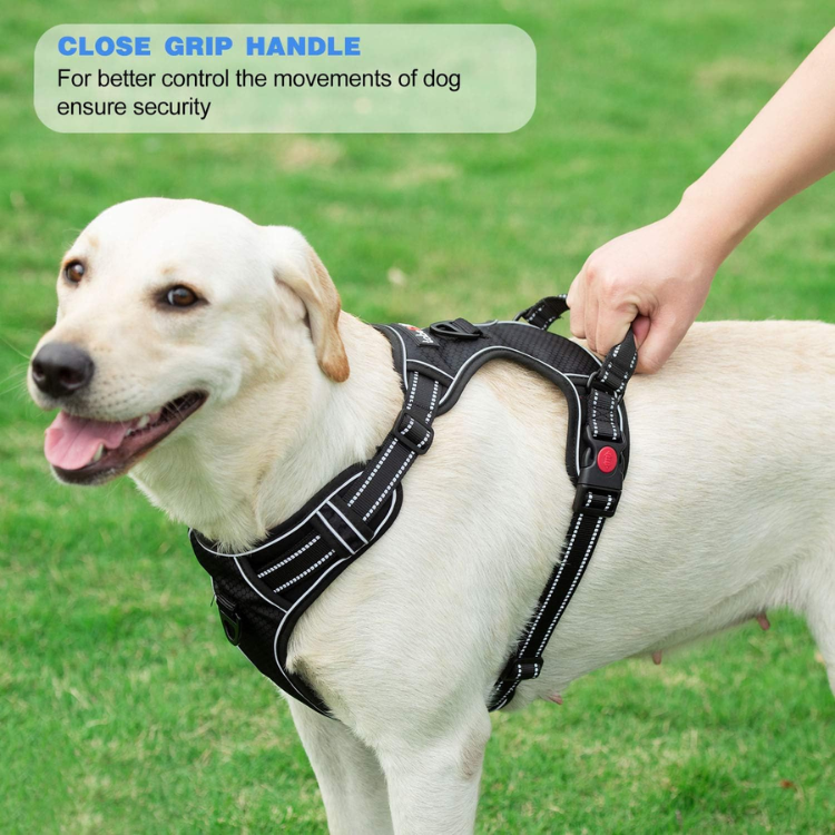 Reflective No-Pull Dog Harness with Leash image 4