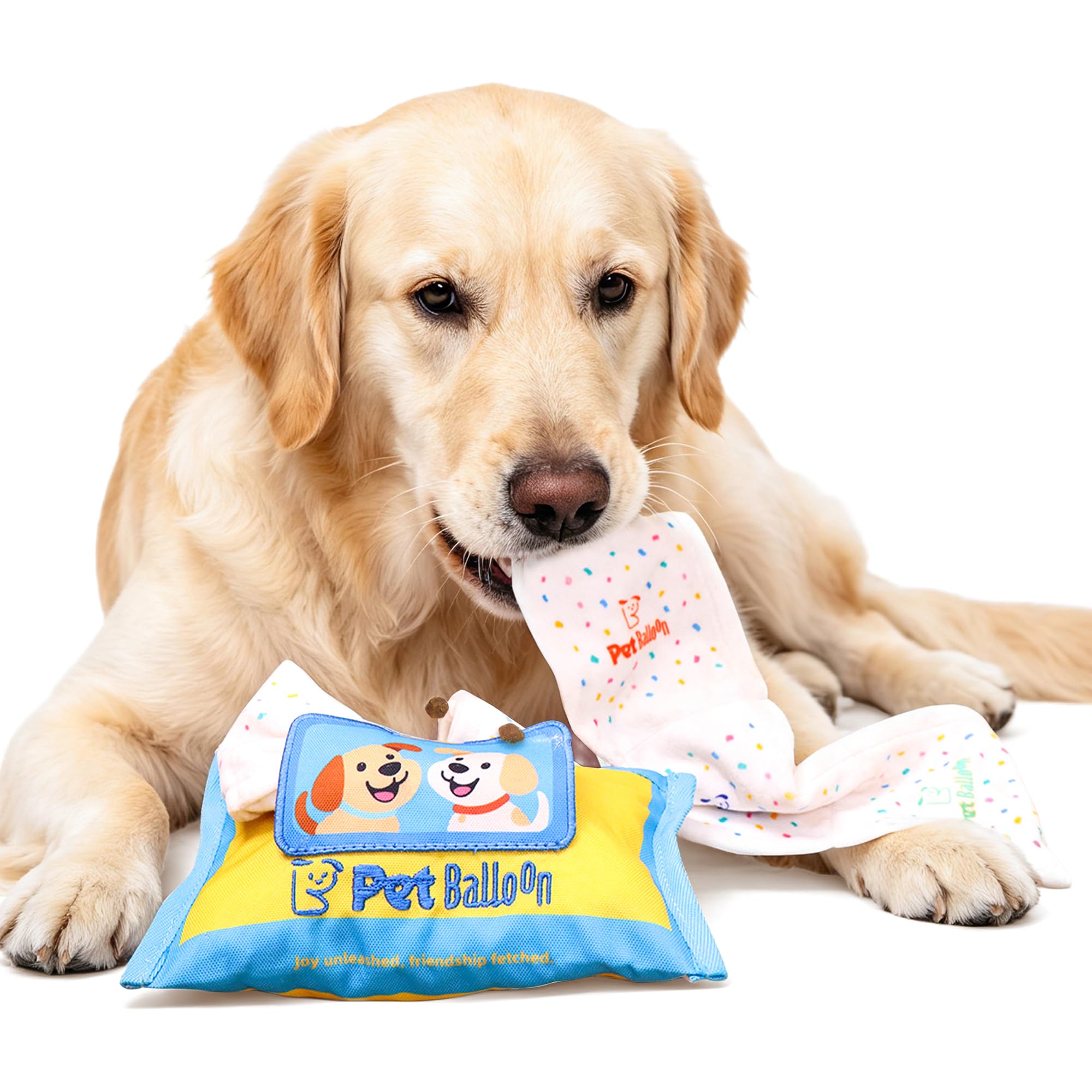 Interactive Dog Tissue Box Snuffle Toy image 4