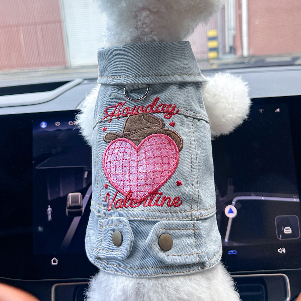 Dog And Cat Clothes Stylish Denim Outfits For Pets image 13