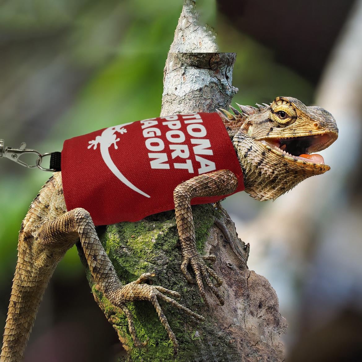 Lizard Harness And Leash Set image 4
