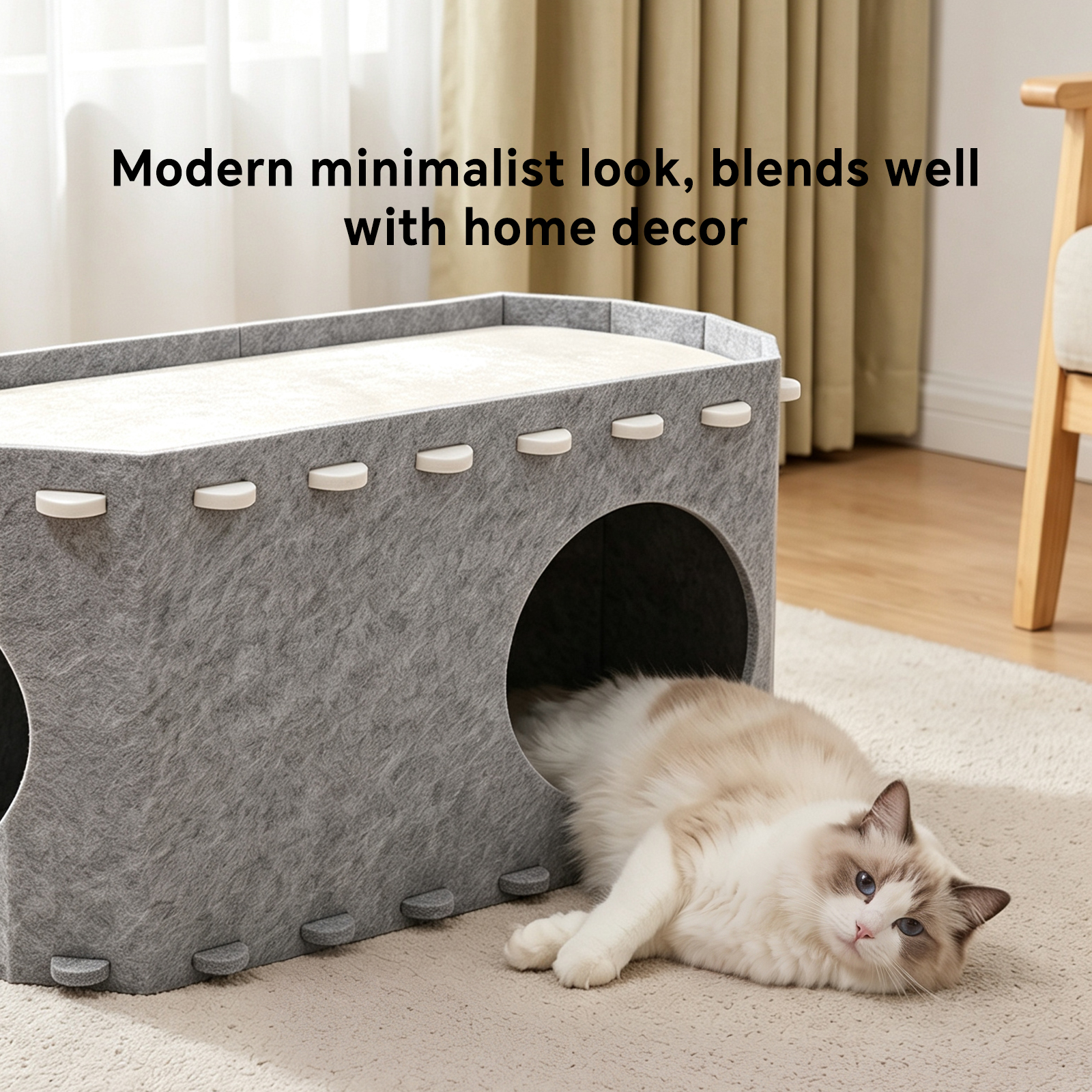 Cat House Petting Room image 7