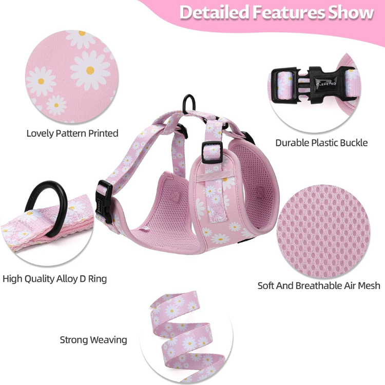 Floral Mesh Small Dog Harness and Leash Set image 2