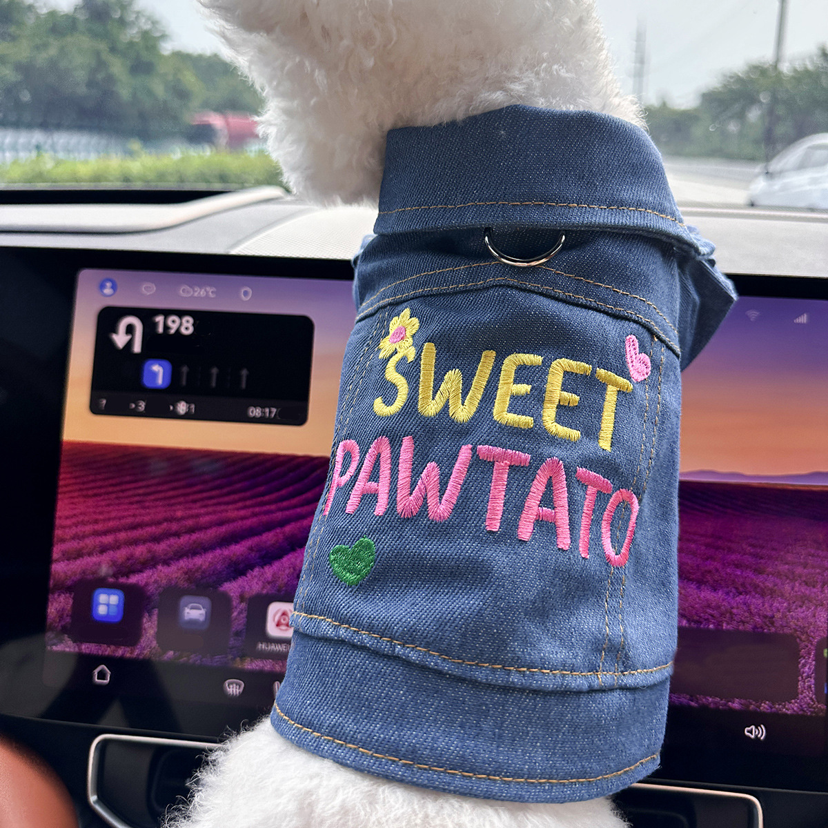 Dog And Cat Clothes Stylish Denim Outfits For Pets image 17