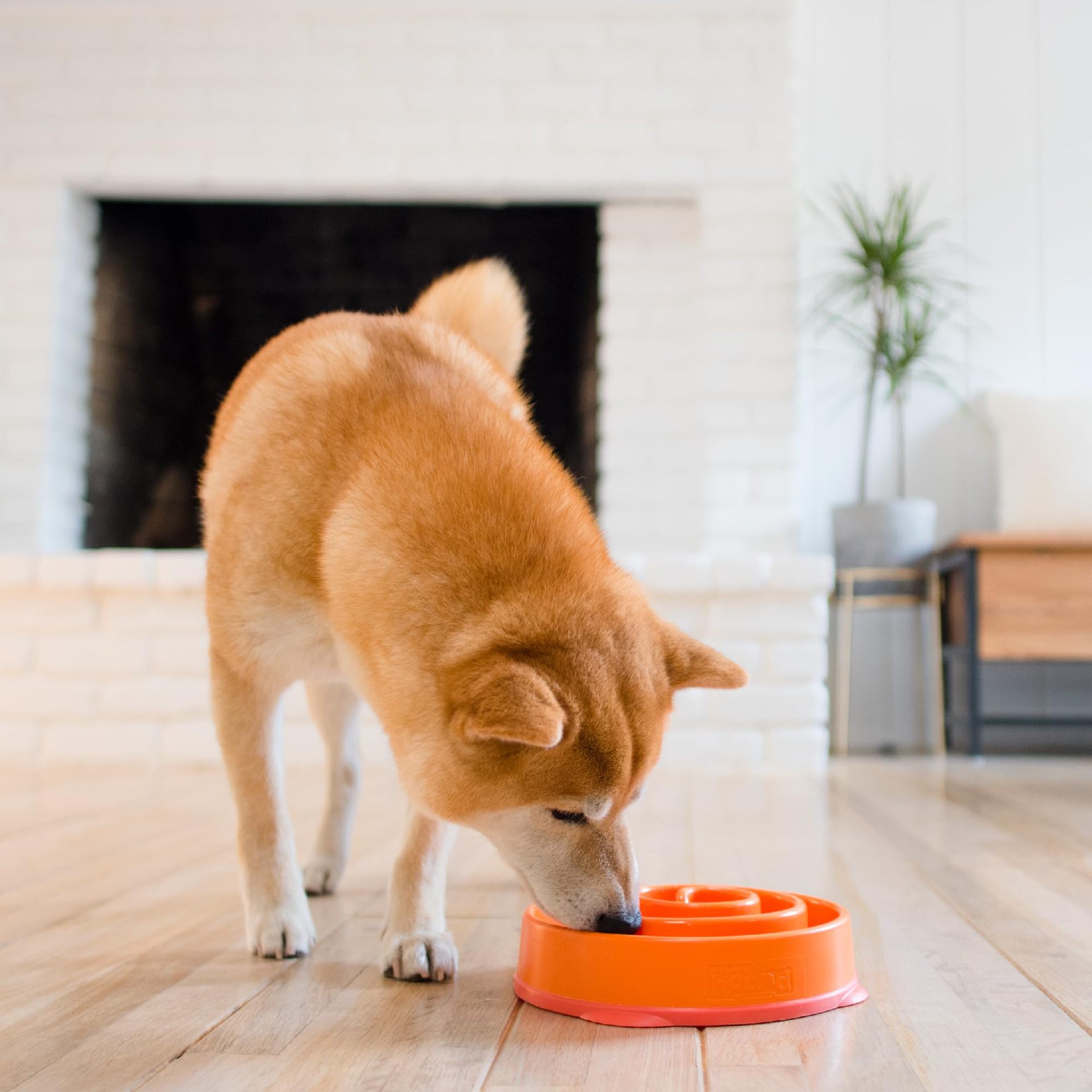 Household Dog Puzzle Anti-choking Slow-feeding Bowl image 6