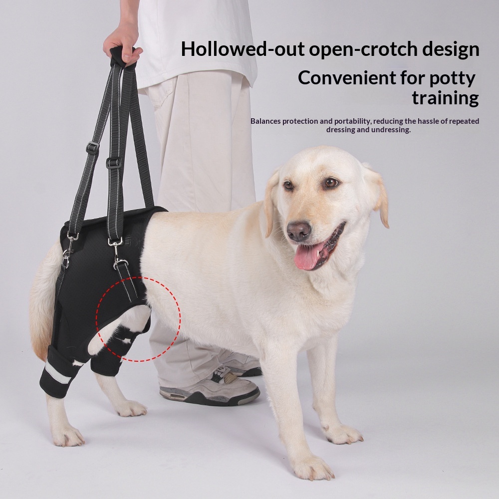 Dog Rear-Leg Rehabilitation Assist Harness image 4