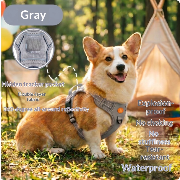 Harness-style Reflective Dog Leash With Anti-pull Feature image 5