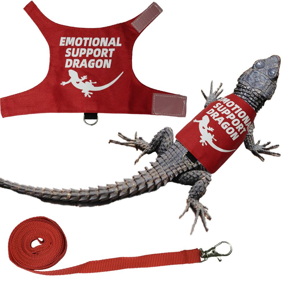 Lizard Harness And Leash Set