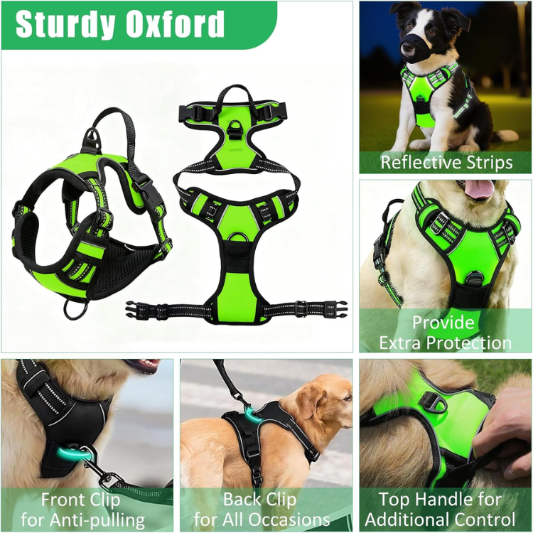 Dog Harness, Collar and Leash Set image 3