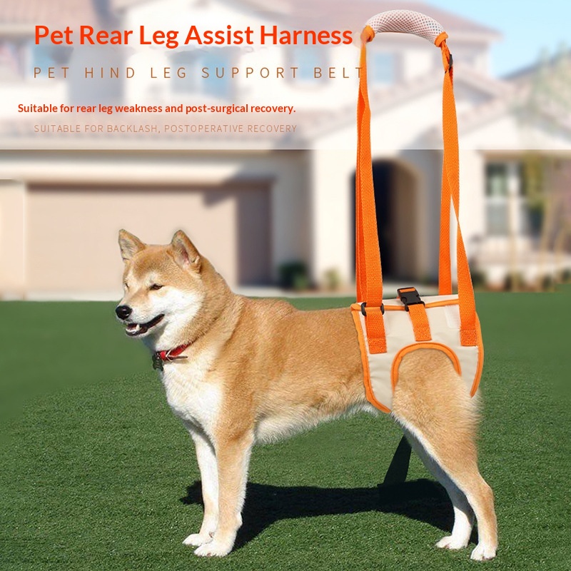 Rear Support Dog Lift Harness image 2