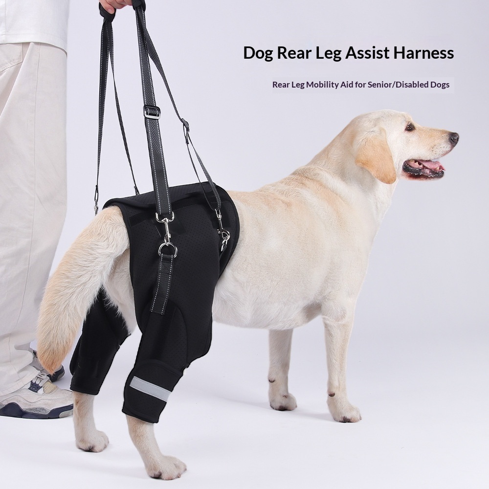 Dog Rear-Leg Rehabilitation Assist Harness image 2