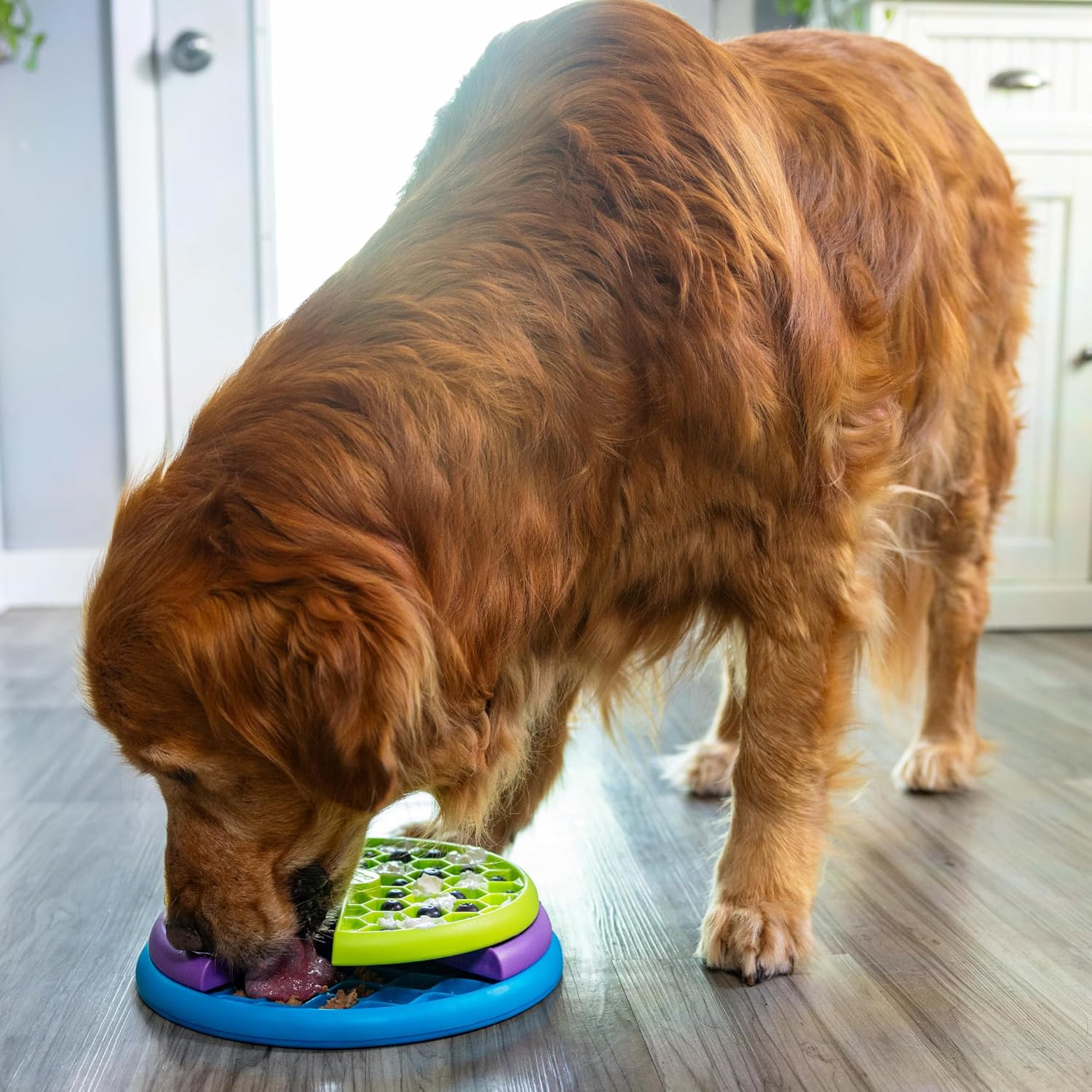 Interactive Lick And Slow Feeder Dog Puzzle Toy