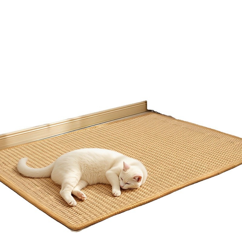 Wall-mounted Wear-resistant Cat Toy image 6