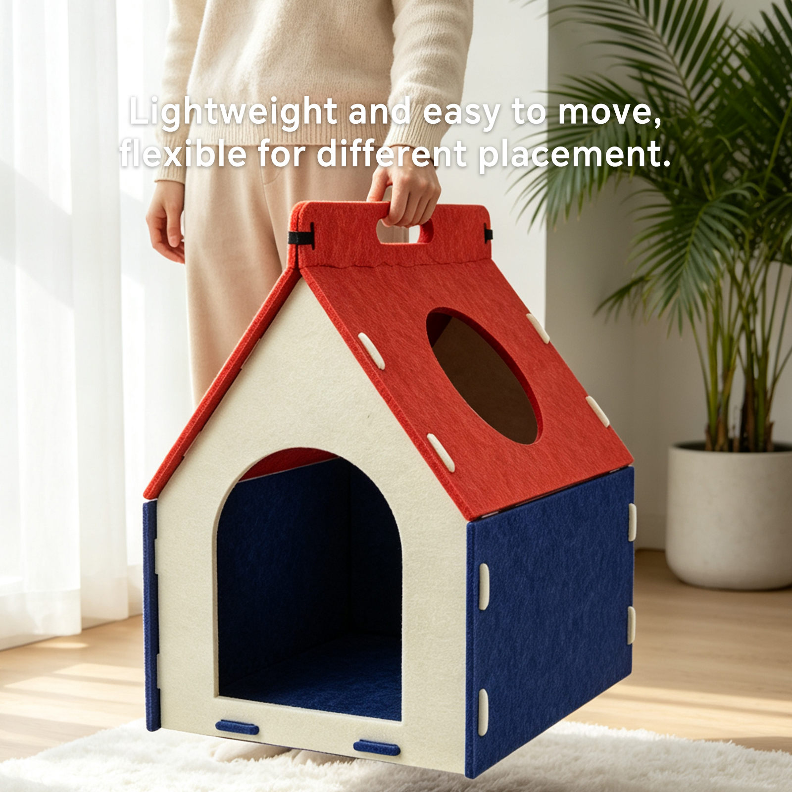 Cat Carrying A House image 4