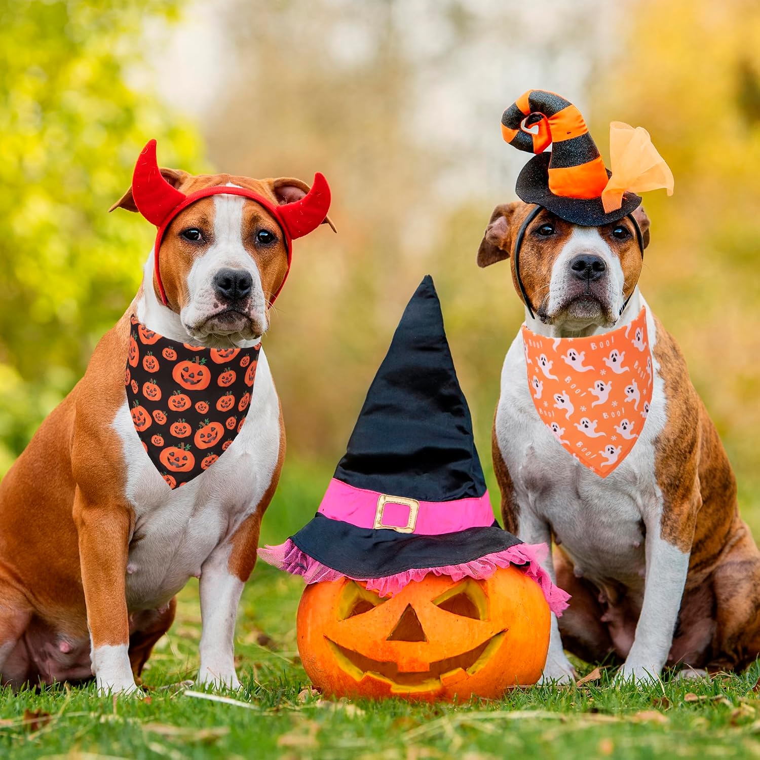 Halloween Skeleton Dog Bandanas 4-Pack image 2
