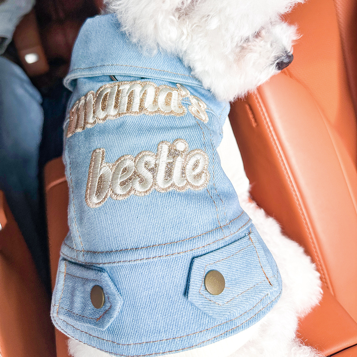 Dog And Cat Clothes Stylish Denim Outfits For Pets image 3
