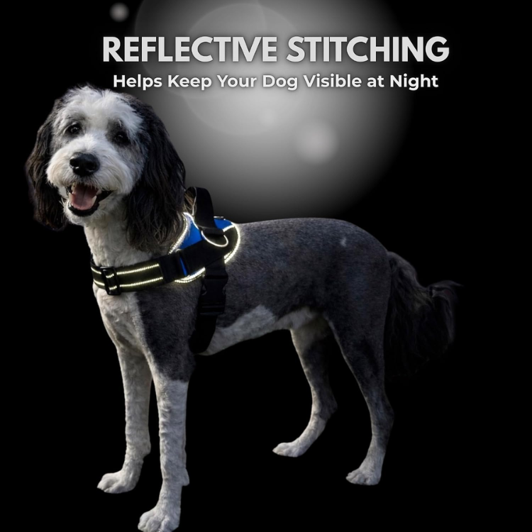 ShawnCo No-Pull Dog Harness