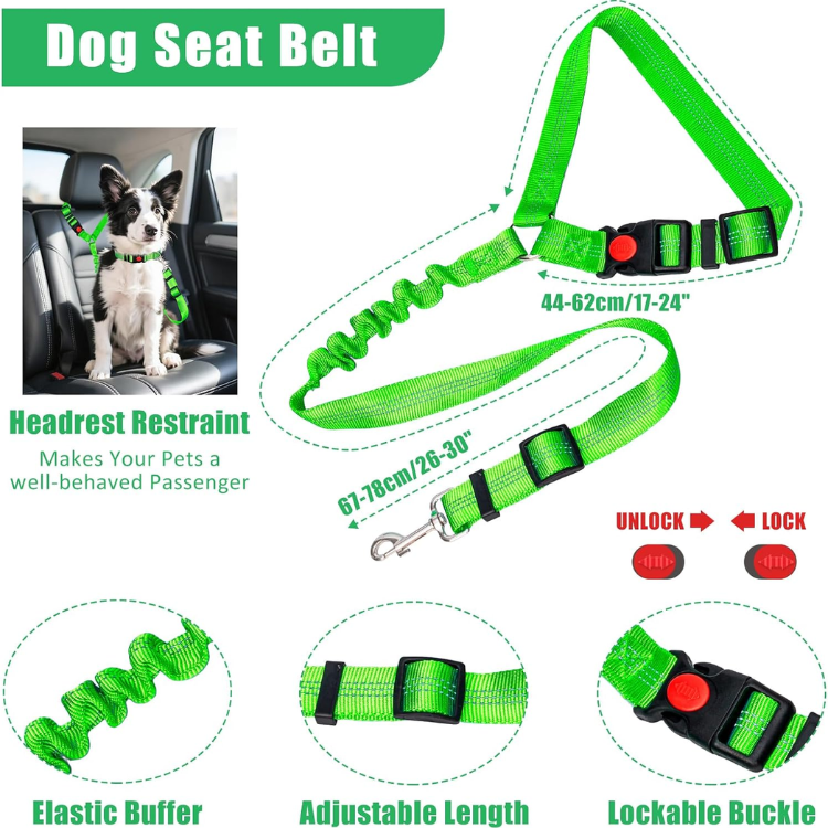Dog Harness, Collar and Leash Set image 5