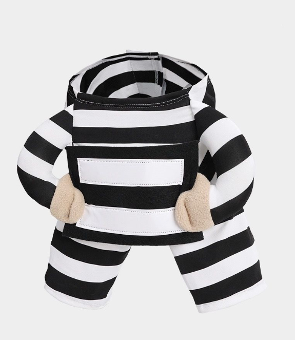 Personalized Halloween Dog Prisoner Pet Costume image 4