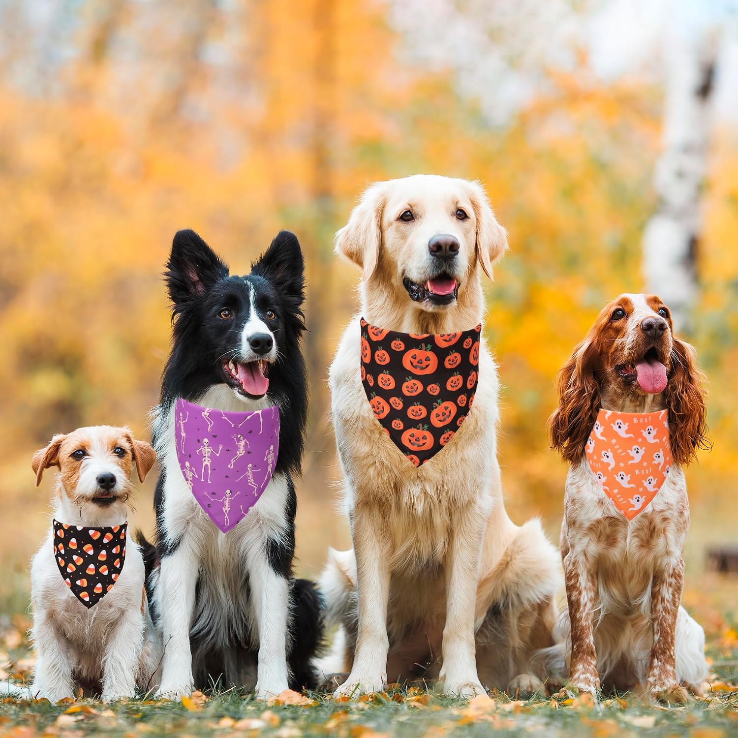 Halloween Skeleton Dog Bandanas 4-Pack