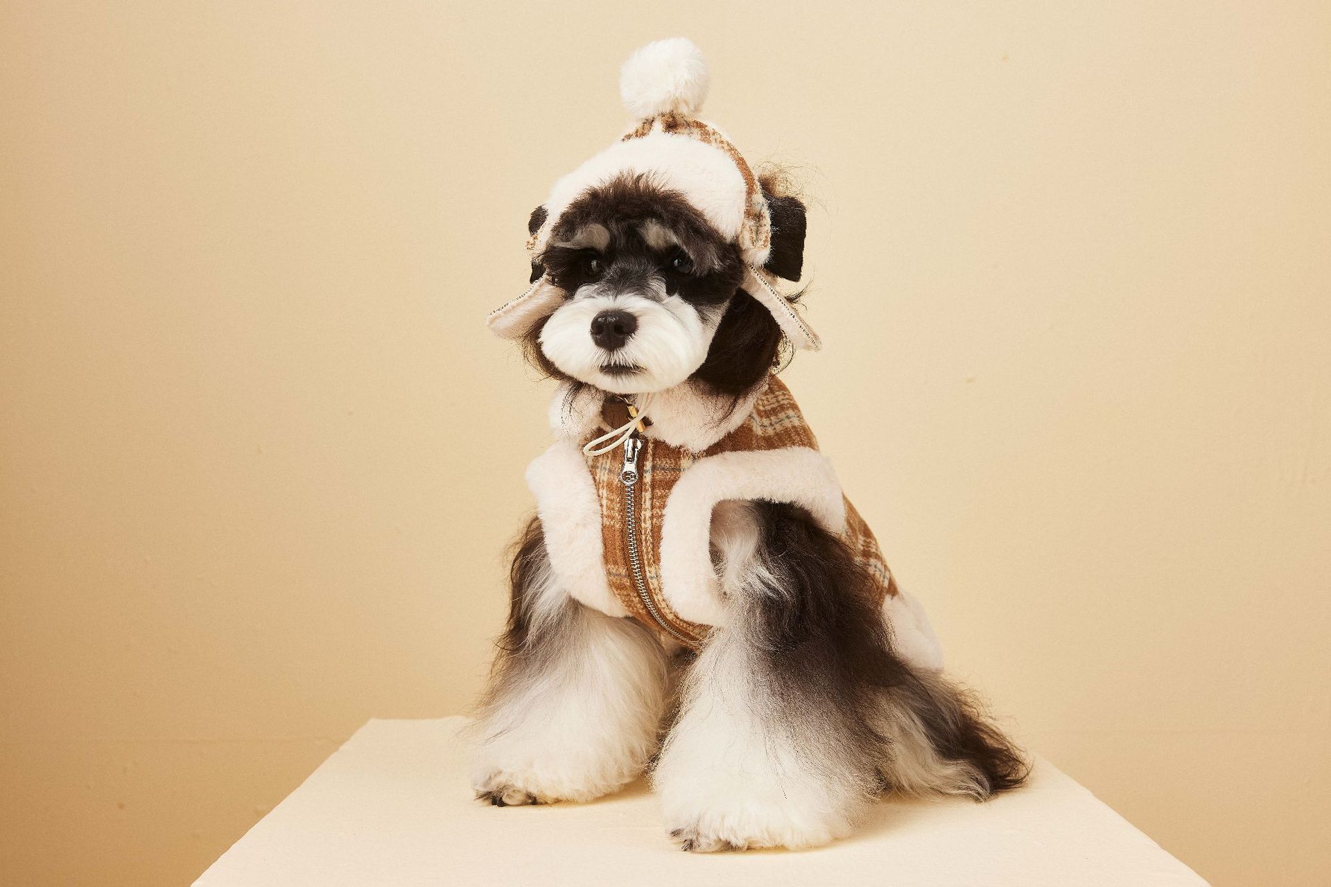 Fashionable Winter And Autumn Dog Clothing Jacket image 2