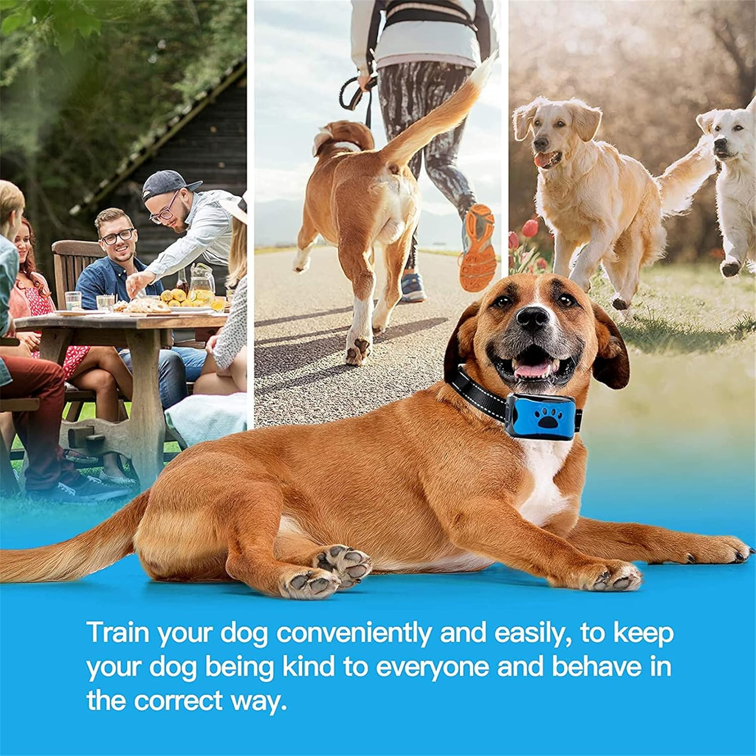 3-in-1 Anti-Bark Dog Training Collar image 6