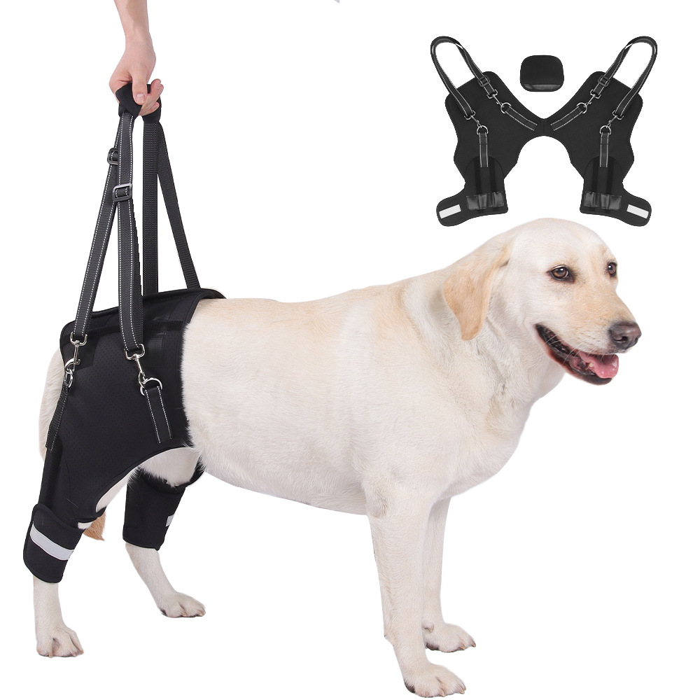 Dog Rear-Leg Rehabilitation Assist Harness image 3