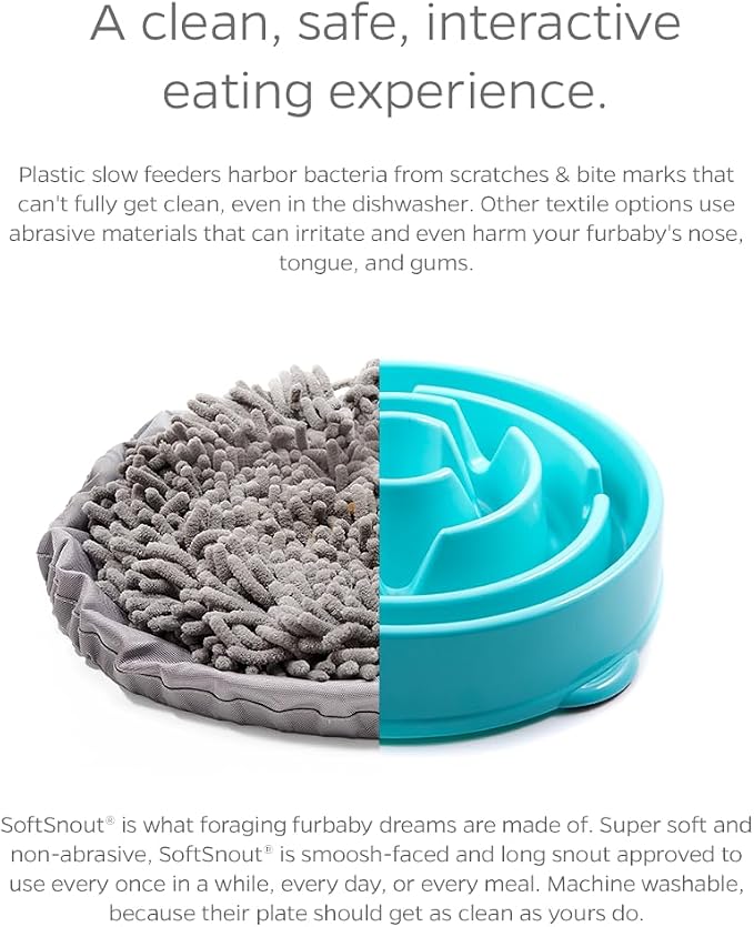 Forager Slow Feeder Dog Bowl and Snuffle Mat