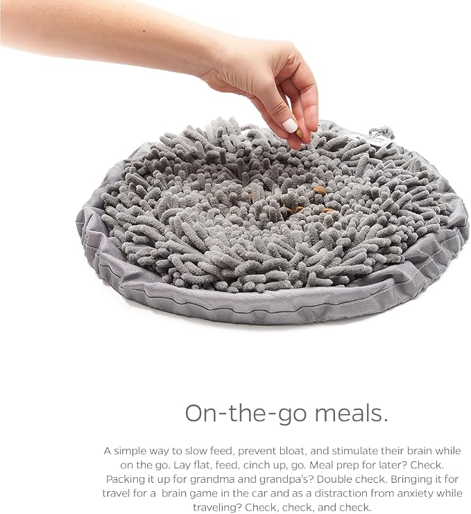 Forager Slow Feeder Dog Bowl and Snuffle Mat image 2