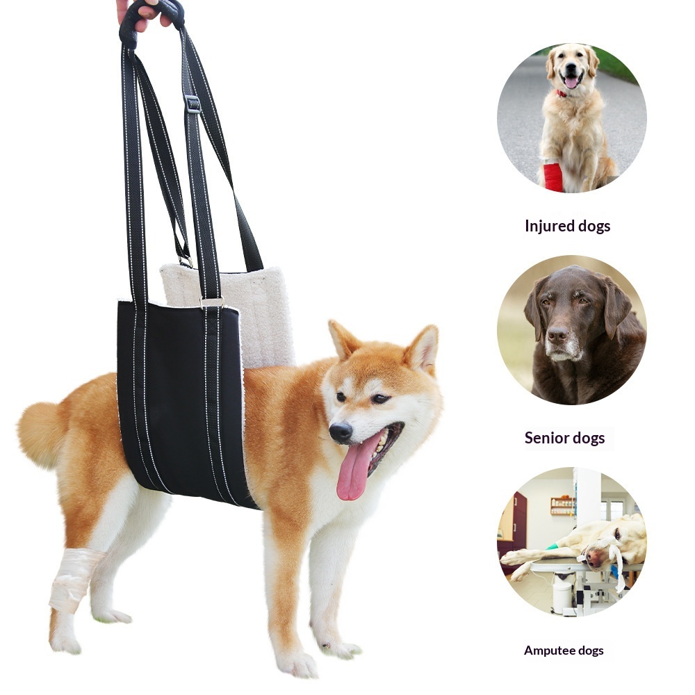 Outdoor Rehabilitation Pet Supplies Assistive Strap image 3