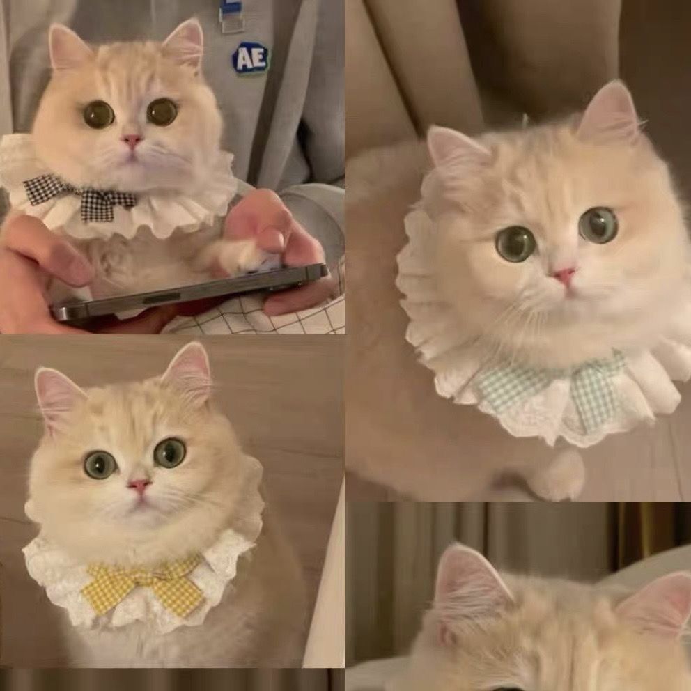 Cotton Lace Pet Bow Bib image 10