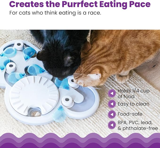 Rainy Day Interactive Cat Treat Puzzle image 2