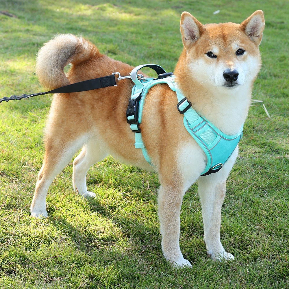 Dog Harness Vest-style For Medium To Large Breeds image 2