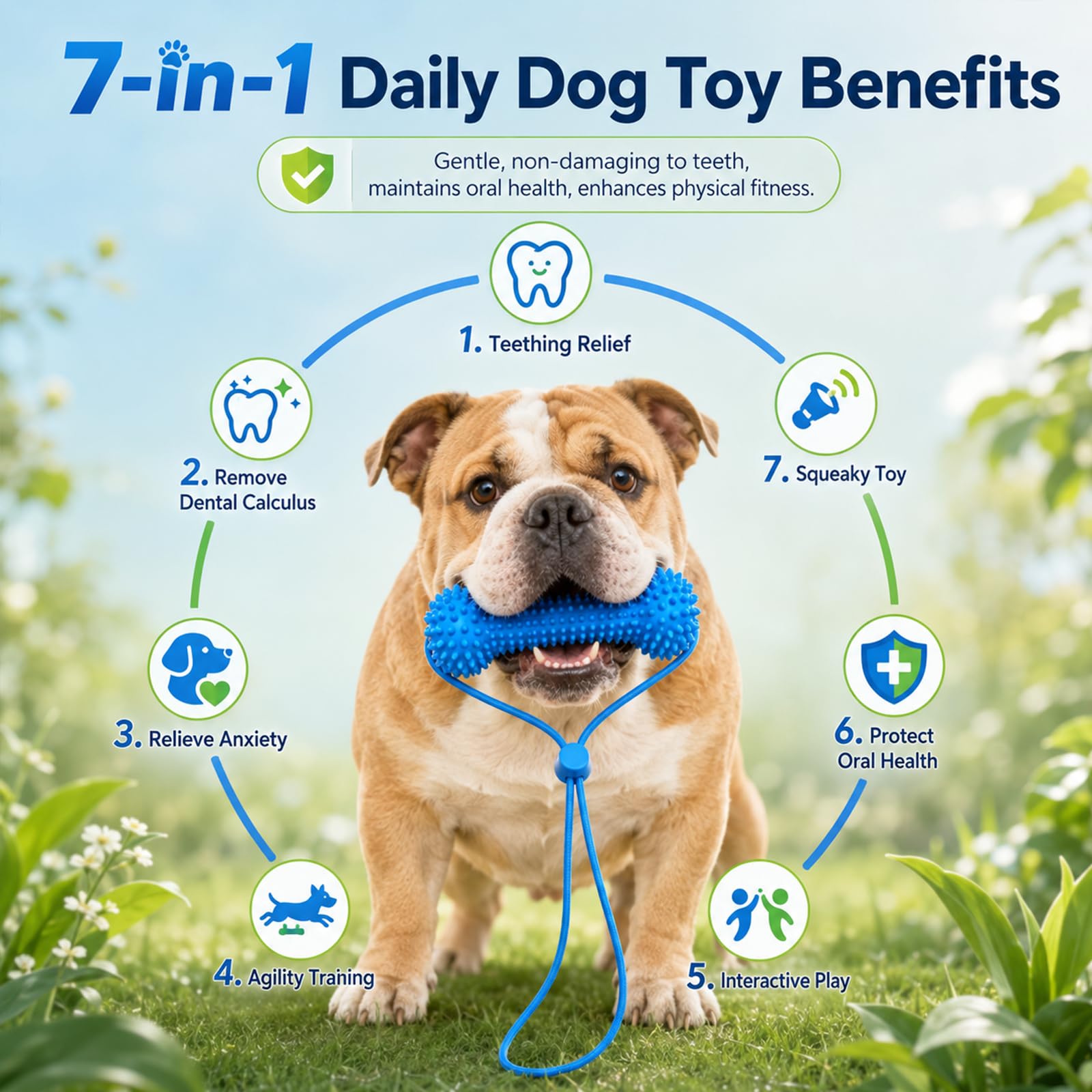 Dual-Action Canine Dental Prop, Dog Dental Chew Toy For Easier Teeth Brushing, Premium Pet Oral Care Accessory Perfect For Small Medium And Large Size Dogs  2PCS image 7