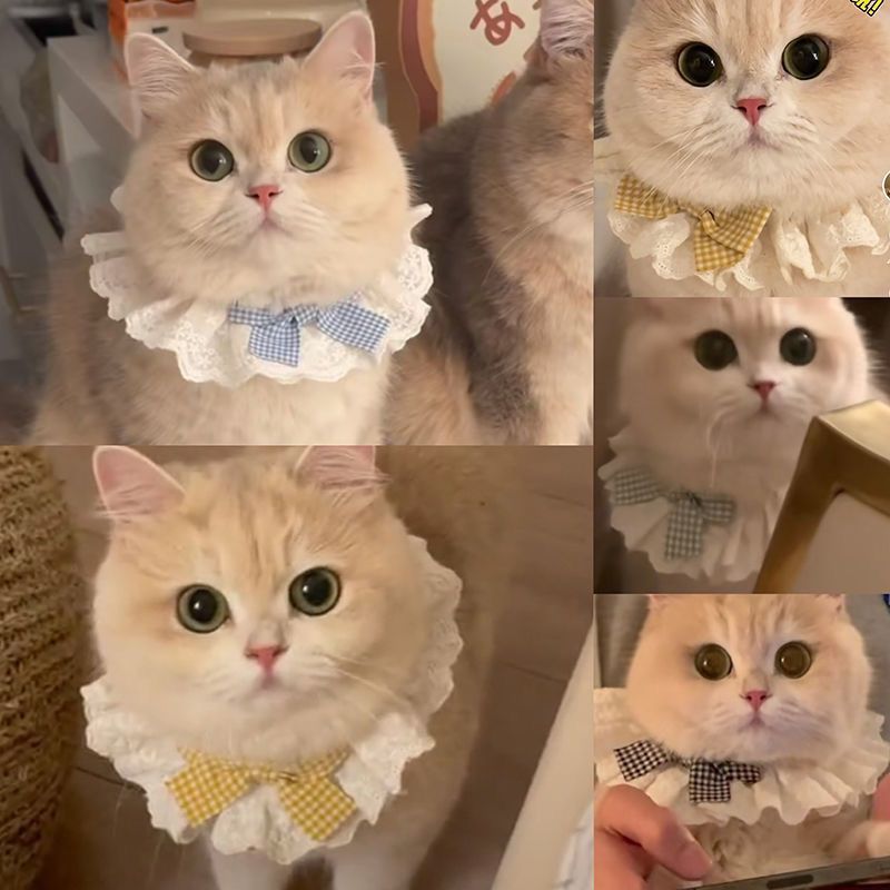 Cotton Lace Pet Bow Bib image 6