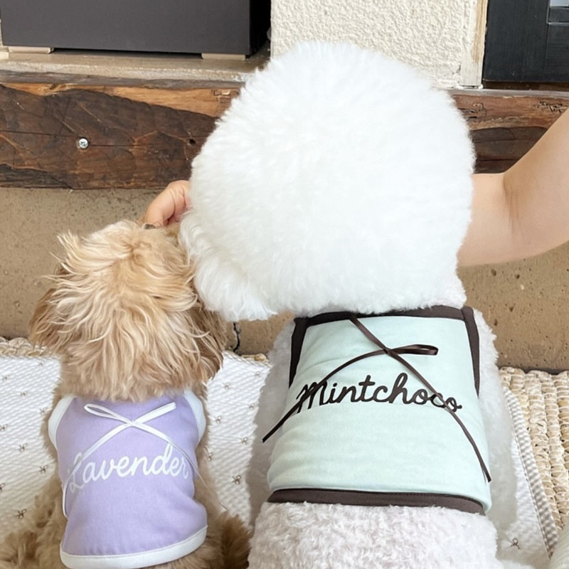 Breathable Summer Mesh Dog Vest Harness image 5