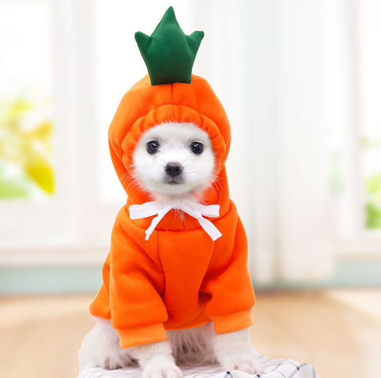 Fruit Fleece Dog Hoodie image 8